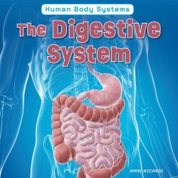 The Digestive System