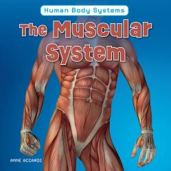 The Muscular System