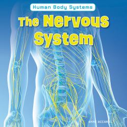 The Nervous System