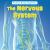 The Nervous System