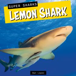 Lemon Shark