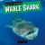 Whale Shark Whale Shark