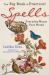 The Big Book of Practical Spells : Everyday Magic That Works