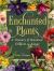 Enchanted Plants : A Treasury of Botanical Folklore and Magic Enchanted Plants : A Treasury of Botanical Folklore and Magic