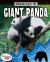 Bringing Back the Giant Panda Bringing Back the Giant Panda
