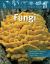 Fungi : Classifying Mushrooms, Toadstools, Molds, Yeasts, and Other Fungi