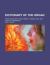 Dictionary of the Organ