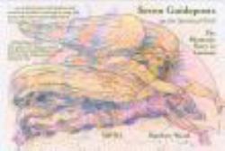 Seven Guideposts on the Spiritual Path : The Shamanic Story in Genesis