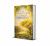 The Golden Flower of Thailand : Ratchaphruek (Cassia Fistula)