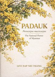 PADAUK Pterocarpus Macrocarpus : The National Flower of Myanmar