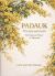 PADAUK Pterocarpus Macrocarpus : The National Flower of Myanmar