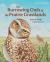 The Burrowing Owls of the Prairie Grasslands