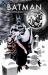 Batman: Gotham after Midnight: the Deluxe Edition