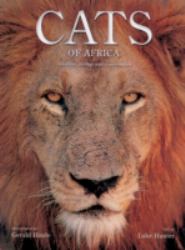 Cats of Africa : Behavior, Ecology, and Conservation