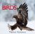 Fascinating Birds Fascinating Birds