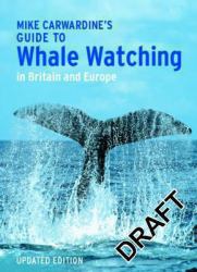 Guide to Whale Watching : In Britain and Europe