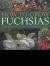 How to Grow Fuchsias