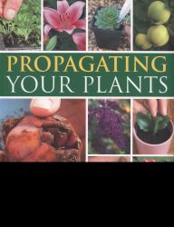 Propagating Your Plants