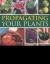 Propagating Your Plants