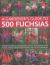 A Gardener's Guide to 500 Fuchsias : Varieties for Growing in Hanging Baskets and Pots, Hardy Fuchsias, Unusual Cultivars and Encliandras, with over 270 Photographs