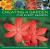 Creating a Garden for Every Season : The Best Plants for Spring, Summer and Autumn and Winter Displays, with over 300 Photographs