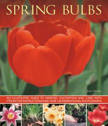 Spring Bulbs : An Illustrated Guide to Varieties, Cultivation and Care, with Step-By-Step Instructions and over 160 Inspirational Photographs