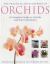 The Practical Encyclopedia of Orchids : A Complete Guide to Orchids and Their Cultivation