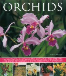 Orchids : An Illustrated Guide to Varieties, Cultivation and Care