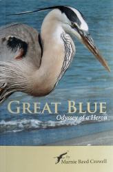 Great Blue : Odyssey of a Heron