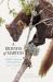 A Richness of Martens : Wildlife Tales from Ardnamurchan A Richness of Martens : Wildlife Tales from Ardnamurchan