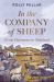 In the Company of Sheep : From Dartmoor to Shetland