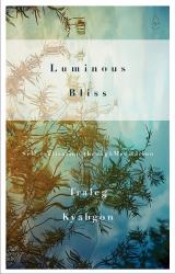 Luminous Bliss : Self-Realisation Through Meditation