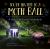 You're Invited to a Moth Ball : A Nighttime Insect Celebration