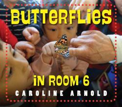 Butterflies in Room 6 : See How They Grow