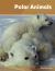 Polar Animals : Set 4 Polar Animals : Set 4