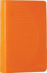 ESV BattleZone Bible