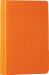 ESV BattleZone Bible