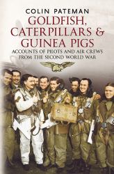 Goldfish Caterpillars and Guinea Pigs : Accounts of Pilots and Air Crews from World War II