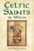 Celtic Saints of Wales