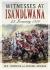 Witnesses at Isandlwana : 22 January 1879