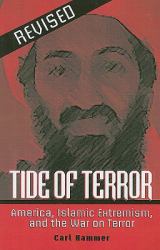 Tide of Terror : America, Extremism, and the War on Terror