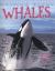 Animal Lives: Whales Animal Lives: Whales