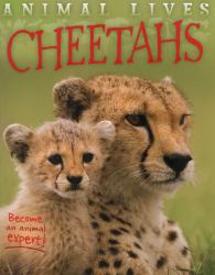 Animal Lives: Cheetahs