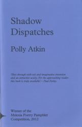 Shadow Dispatches