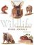 Wildlife Painting Basics Small Animals