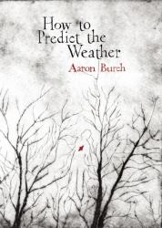 How to Predict the Weather