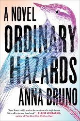 Ordinary Hazards : A Novel