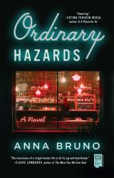 Ordinary Hazards : A Novel