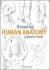 Drawing Human Anatomy Drawing Human Anatomy