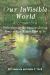 Our Invisible World : Reflections on the Awesome, Loving Power of God Within Each of Us